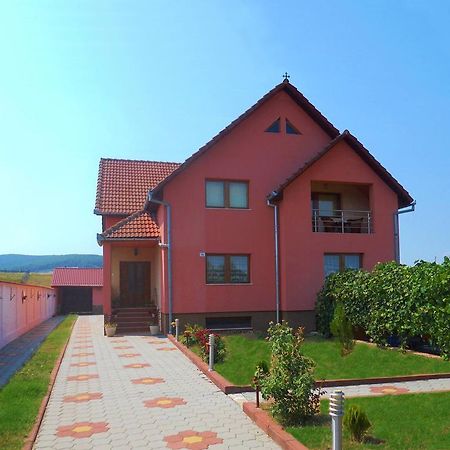 Vila La Izvor Petresti Exterior photo