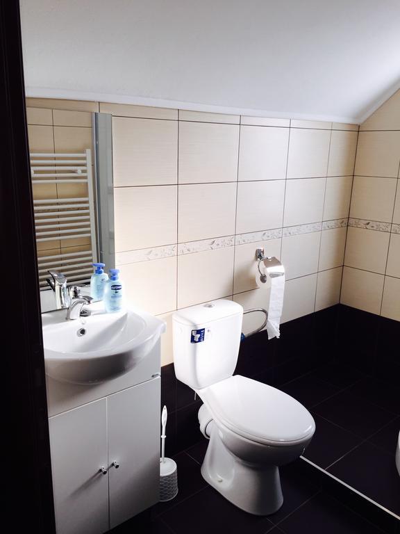 Vila La Izvor Petresti Room photo