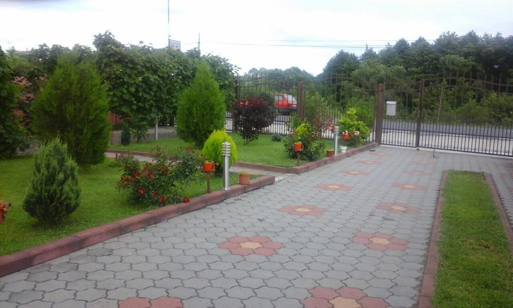 Vila La Izvor Petresti Exterior photo