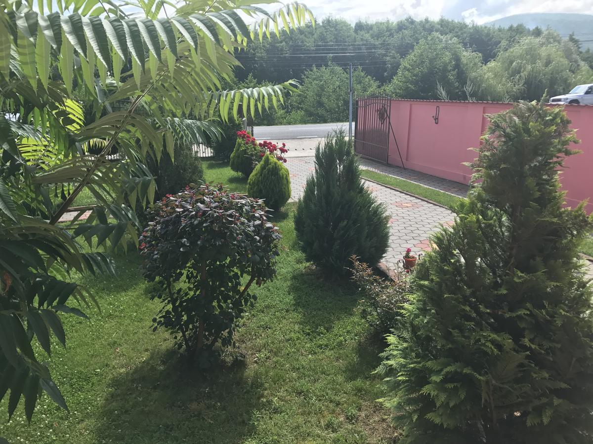 Vila La Izvor Petresti Exterior photo