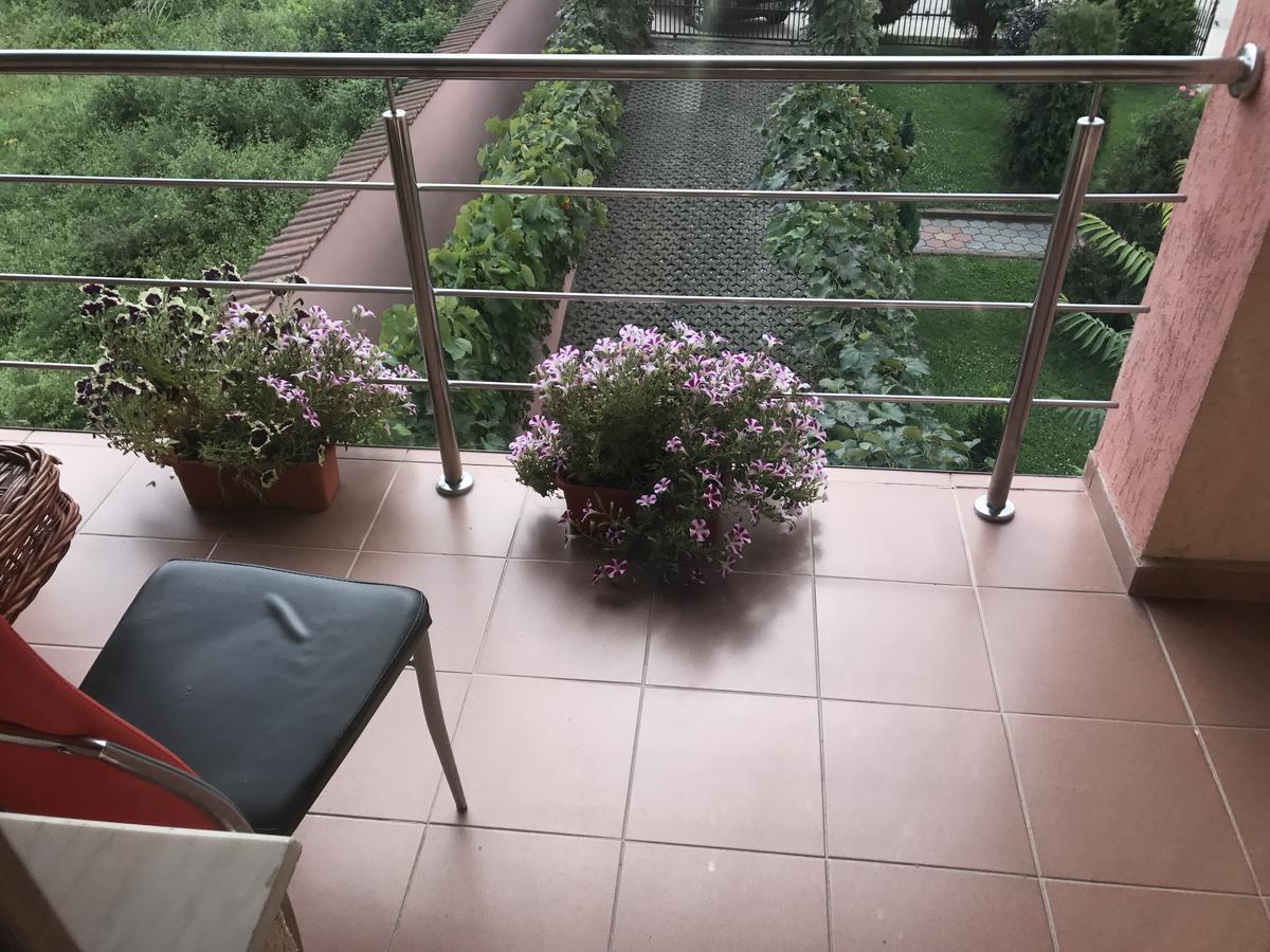 Vila La Izvor Petresti Exterior photo